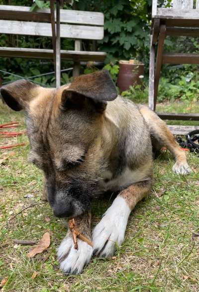 Theos Fotochallenge Nr. 3-Beitrag-Bild