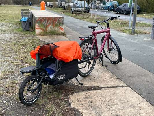 Hundeanhänger für das Fahrrad-Beitrag-Bild