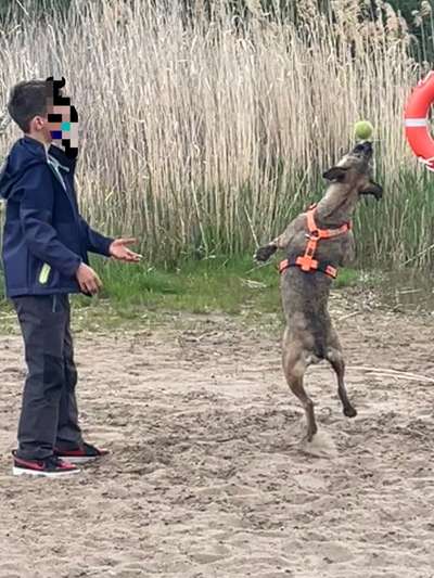 60. Handy Fotochallenge  -gleich schnapp ich es--Beitrag-Bild