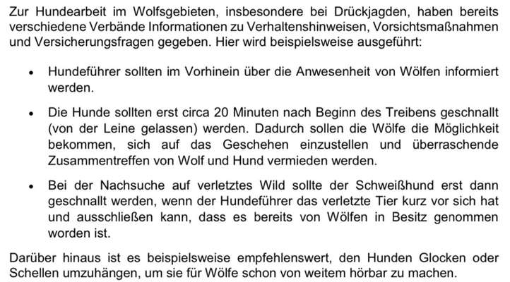 Wolfsbegegnung-Beitrag-Bild