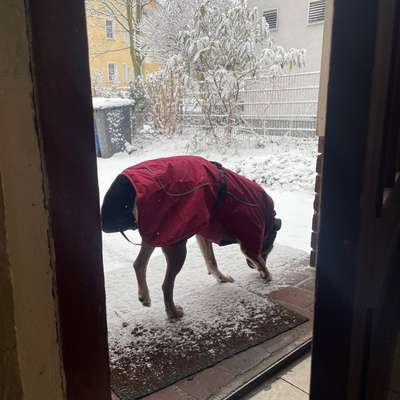 Was hat euch heute gefreut?-Beitrag-Bild