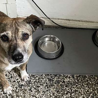 Was hat euch heute gefreut?-Beitrag-Bild