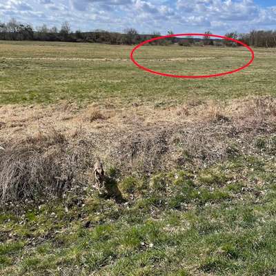 "Wege zur Freundschaft" (Ulli Reichmann)-Beitrag-Bild