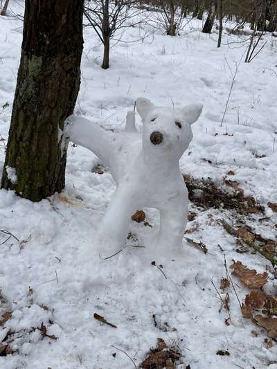 Was hat euch heute gefreut?-Beitrag-Bild