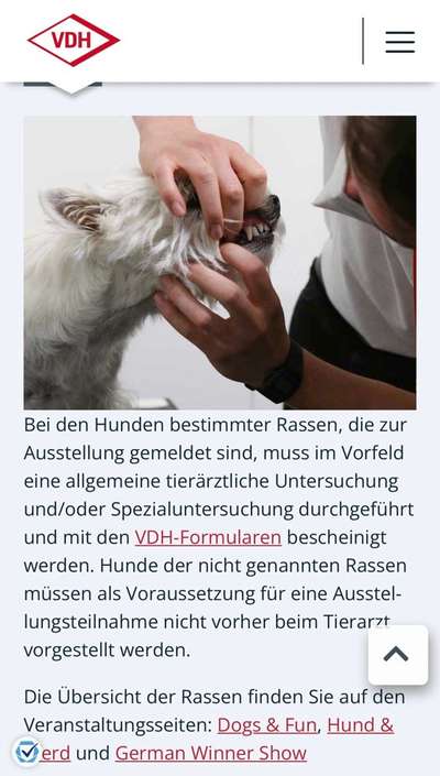 Qualzucht - Warum Aufklärung alleine nicht reicht-Beitrag-Bild