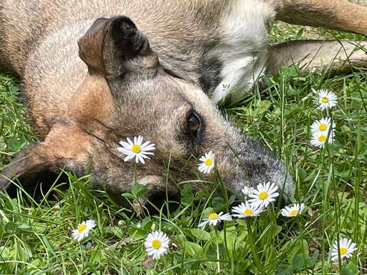 Lieblingsbild-Beitrag-Bild