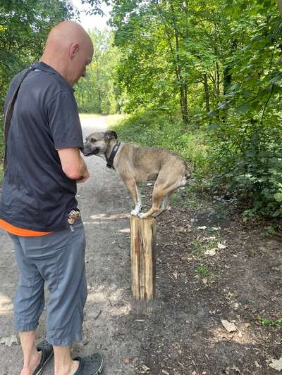 Gangbild/-analyse-Beitrag-Bild