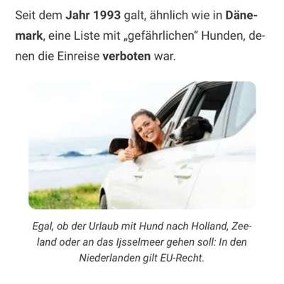 Wie resozialisiert man am besten?-Beitrag-Bild