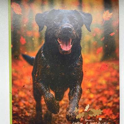 Mecklenburgische Seenplatte-Beitrag-Bild