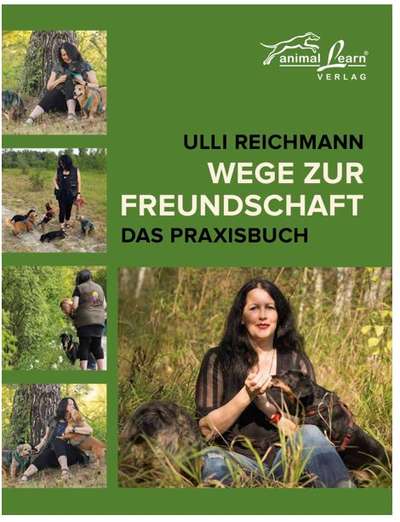 Tattle Training-Beitrag-Bild