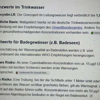 Blaualgen-Alarm: Ein Hund verstorben, mehrere erkrankt 😳😥-Beitrag-Bild