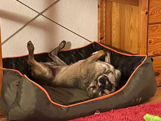 Zeigt her...-Beitrag-Bild