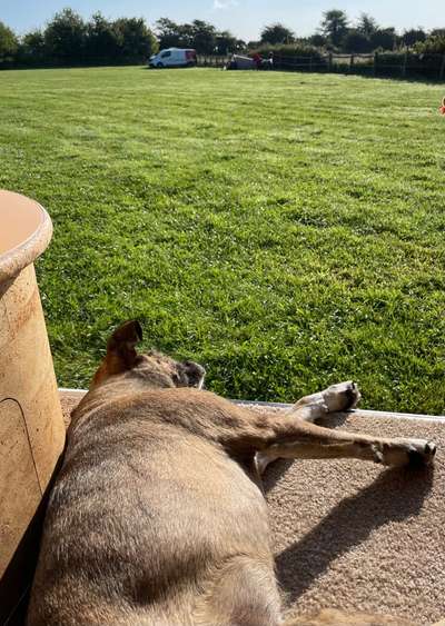 Was hat euch heute gefreut?-Beitrag-Bild