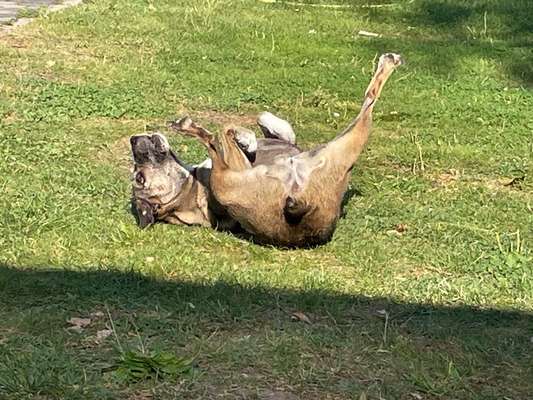 Was hat euch heute gefreut?-Beitrag-Bild