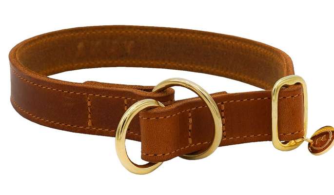 TierschutzhundeStammtisch🐕-Beitrag-Bild