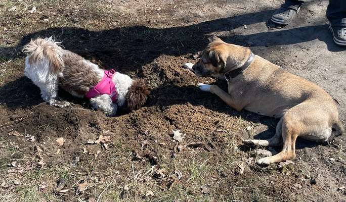 Was hat euch heute gefreut?-Beitrag-Bild