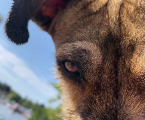 150. Foto Challaenge:  Die Augen, der Spiegel der Seele-Beitrag-Bild