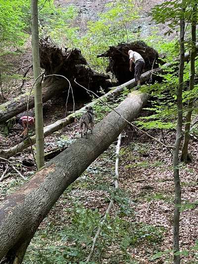 57. Handy Foto Challenge - klettern-Beitrag-Bild