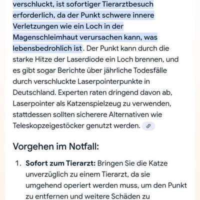 Hundefutter Mythen-Beitrag-Bild