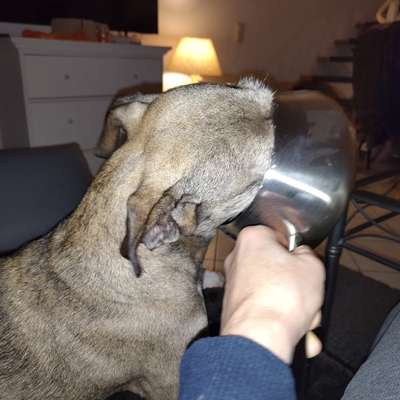 Wie habt ihr den Silvesterabend verbracht?-Beitrag-Bild