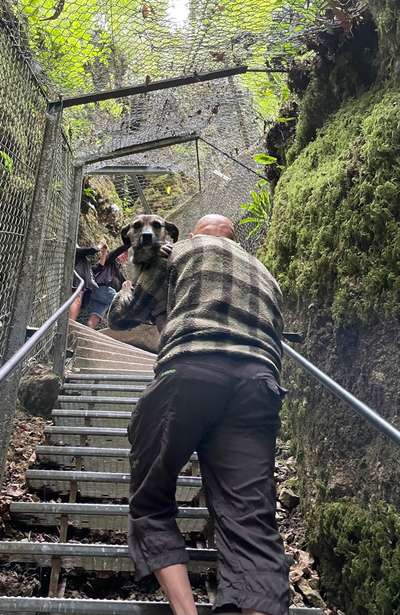 TierschutzhundeStammtisch🐕-Beitrag-Bild