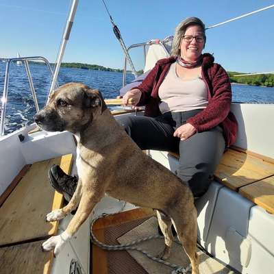 Segeln mit Hund-Beitrag-Bild
