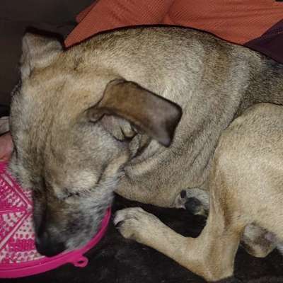 Wie habt ihr den Silvesterabend verbracht?-Beitrag-Bild