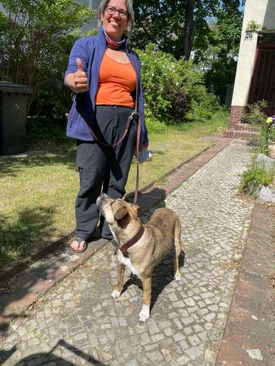 Erfahrungen mit Zee.Dog-Beitrag-Bild