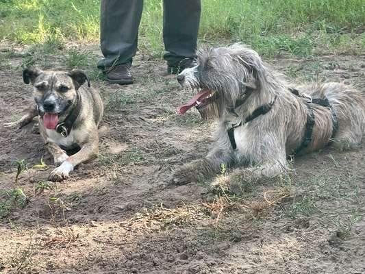 Warum lasst ihr kastrieren?-Beitrag-Bild