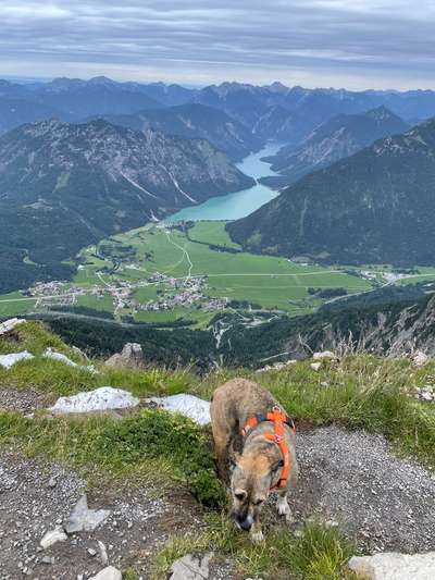 Urlaub in Bayern-Beitrag-Bild