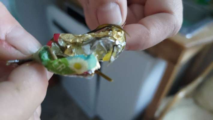 TierschutzhundeStammtisch🐕-Beitrag-Bild