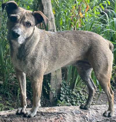 Gangbild/-analyse-Beitrag-Bild