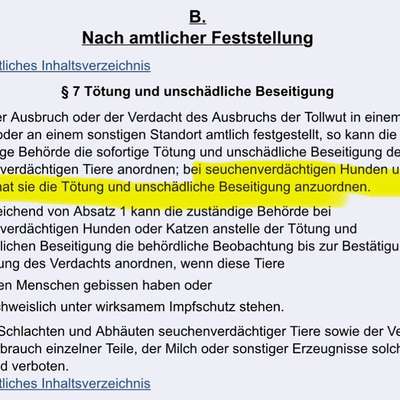 Welche Impfungen sollte man auf jeden Fall machen ?-Beitrag-Bild