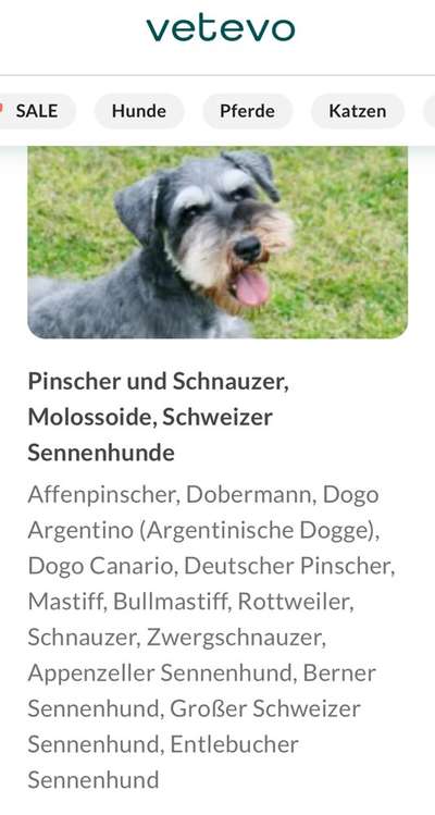 TierschutzhundeStammtisch🐕-Beitrag-Bild