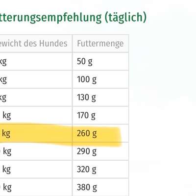 Wie optimal ist das Körpergewicht meines Hundes?-Beitrag-Bild