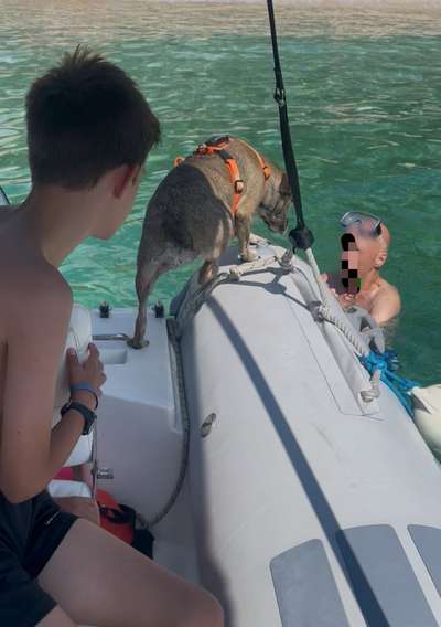 Was hat euch heute gefreut?-Beitrag-Bild