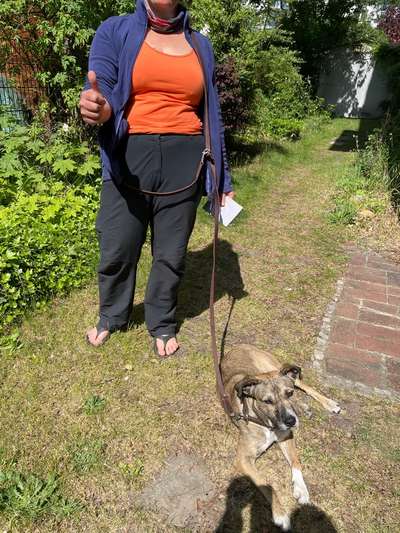 Qualitativ hochwertige Leine 3 - 5 m gesucht-Beitrag-Bild