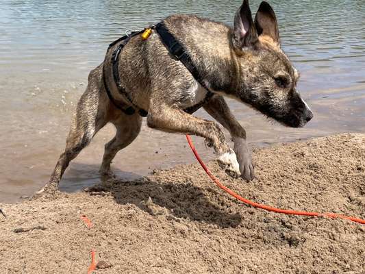 Foto-Challenge Nr. 90: Lebensfreude-Beitrag-Bild