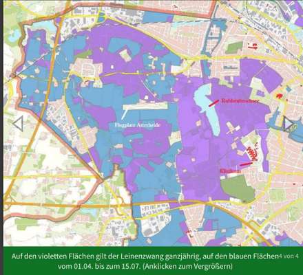 🐾 Brut- und Setzzeit 2025 – Wieso halten sich so viele Hundehalter:innen nicht dran? 🐾-Beitrag-Bild
