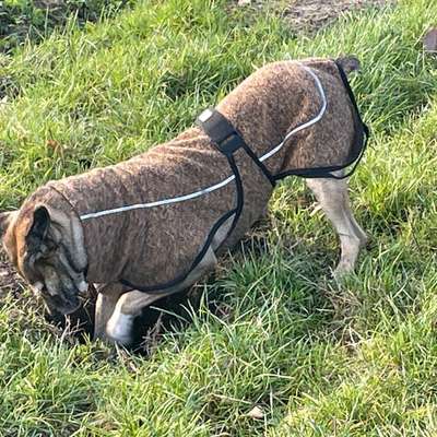 "Wege zur Freundschaft" (Ulli Reichmann)-Beitrag-Bild