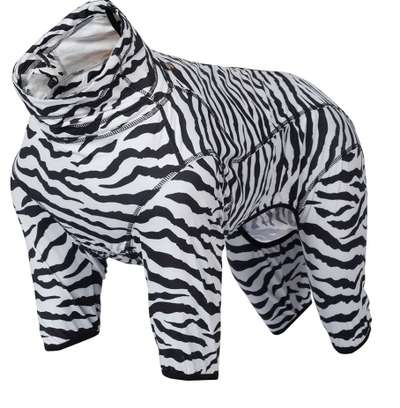 TierschutzhundeStammtisch🐕-Beitrag-Bild