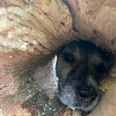 "Wege zur Freundschaft" (Ulli Reichmann)-Beitrag-Bild