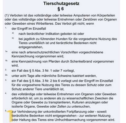 Warum lasst ihr kastrieren?-Beitrag-Bild