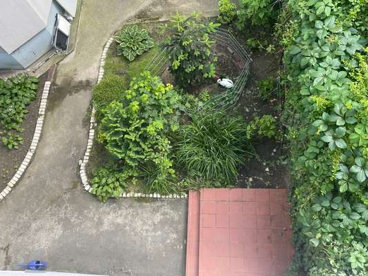 TierschutzhundeStammtisch🐕-Beitrag-Bild