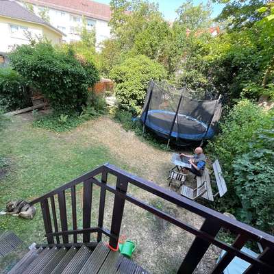 Hütehündin 8 Monate Auslastungsfrage-Beitrag-Bild