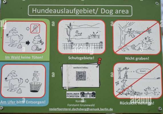 Heikles Thema: Kot überall aufsammeln oder nicht?-Beitrag-Bild