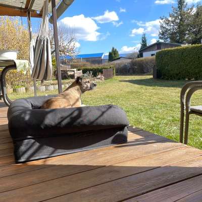 Was hat euch heute gefreut?-Beitrag-Bild