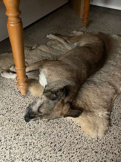 Was hat euch heute gefreut?-Beitrag-Bild