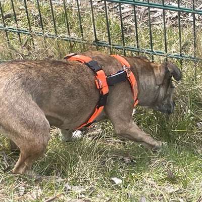 "Wege zur Freundschaft" (Ulli Reichmann)-Beitrag-Bild