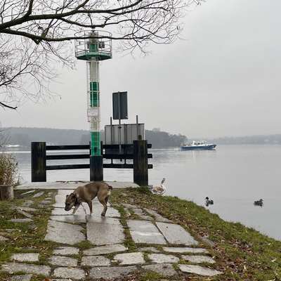 "Wege zur Freundschaft" (Ulli Reichmann)-Beitrag-Bild